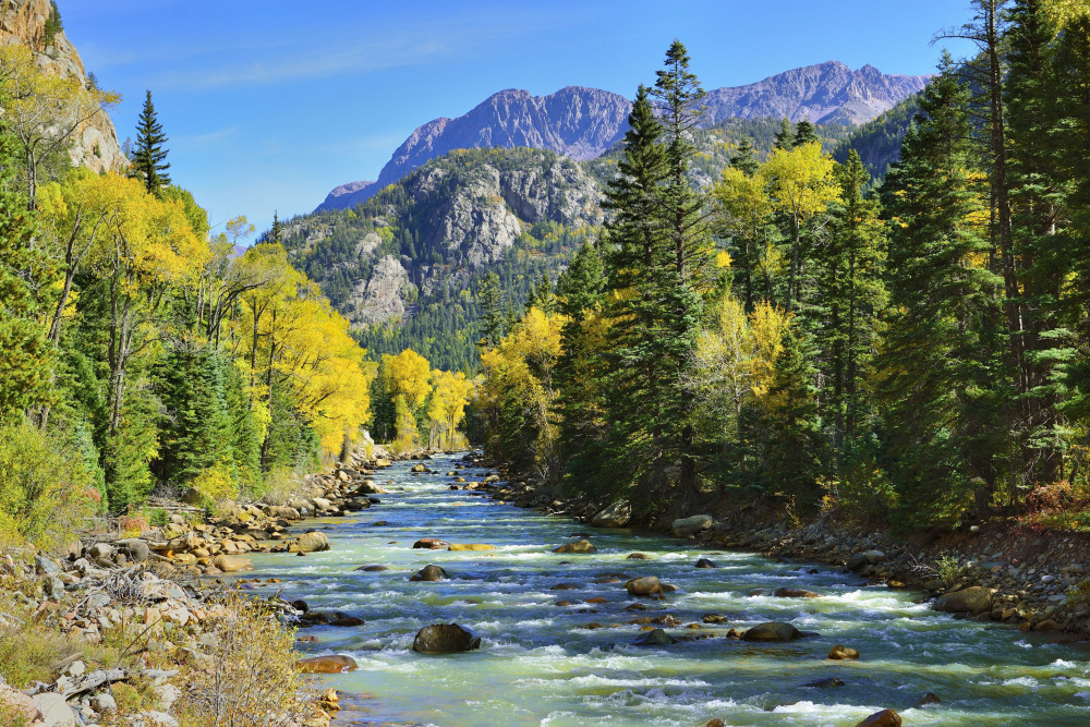 Animas River